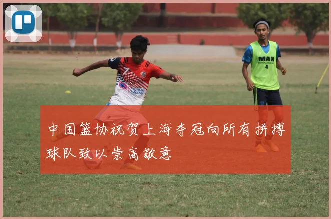中国篮协祝贺上海夺冠向所有拼搏球队致以崇高敬意