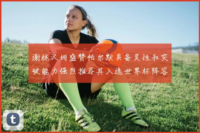 谢林汉姆盛赞帕尔默具备灵性和突破能力强烈推荐其入选世界杯阵容