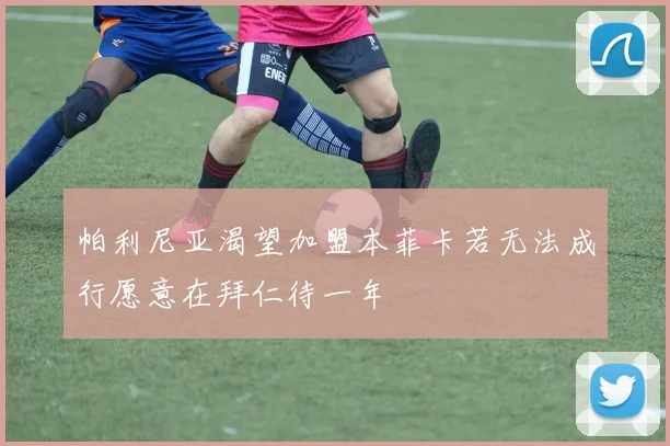 帕利尼亚渴望加盟本菲卡若无法成行愿意在拜仁待一年