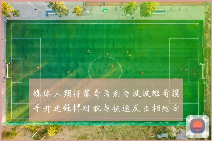 媒体人期待蒙哥马利与波波维奇携手并进强悍对抗与快速反击相结合